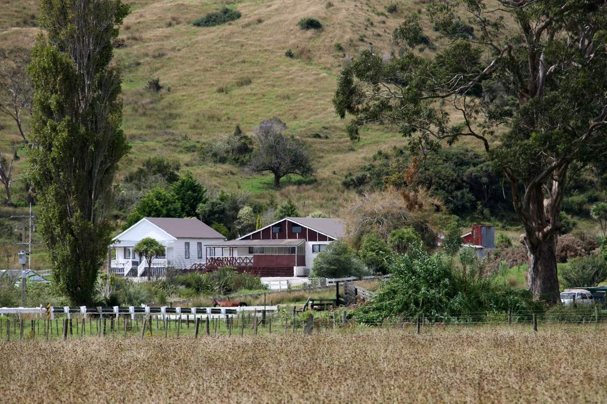 Matai Ara Nui Marae ii