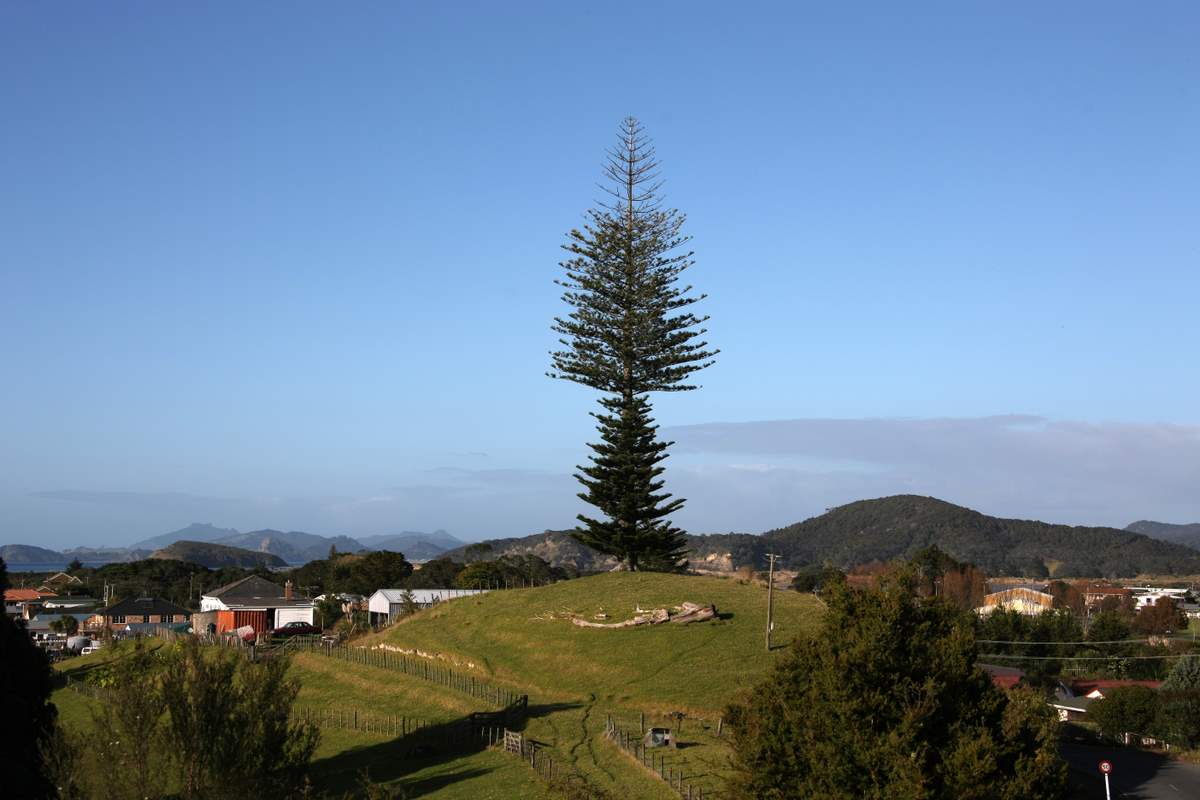 Ngunguru Marae v