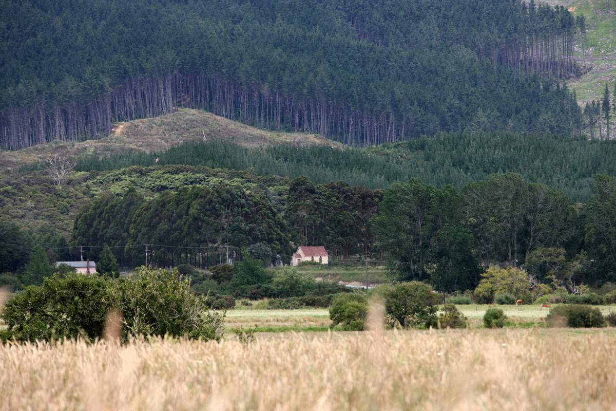 Paremata Marae i