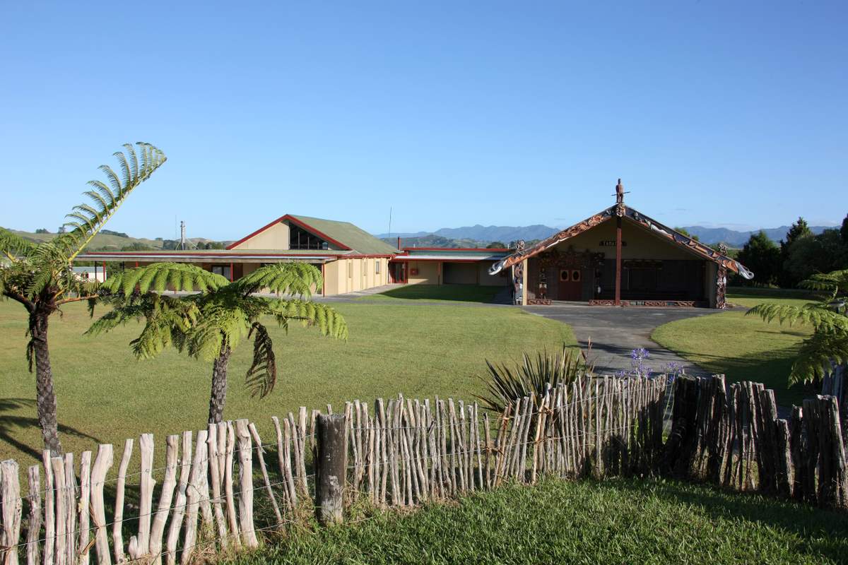 Tamatea Marae ix