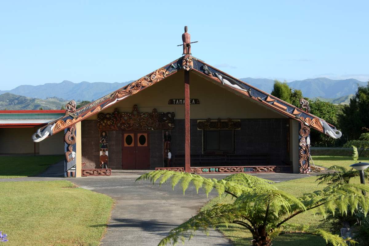 Tamatea Marae vi