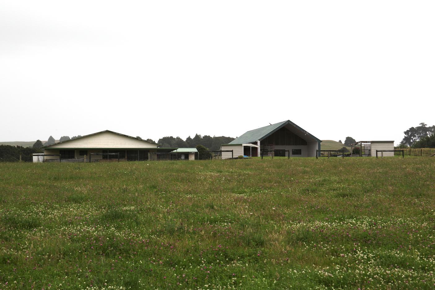 Te Akau 01