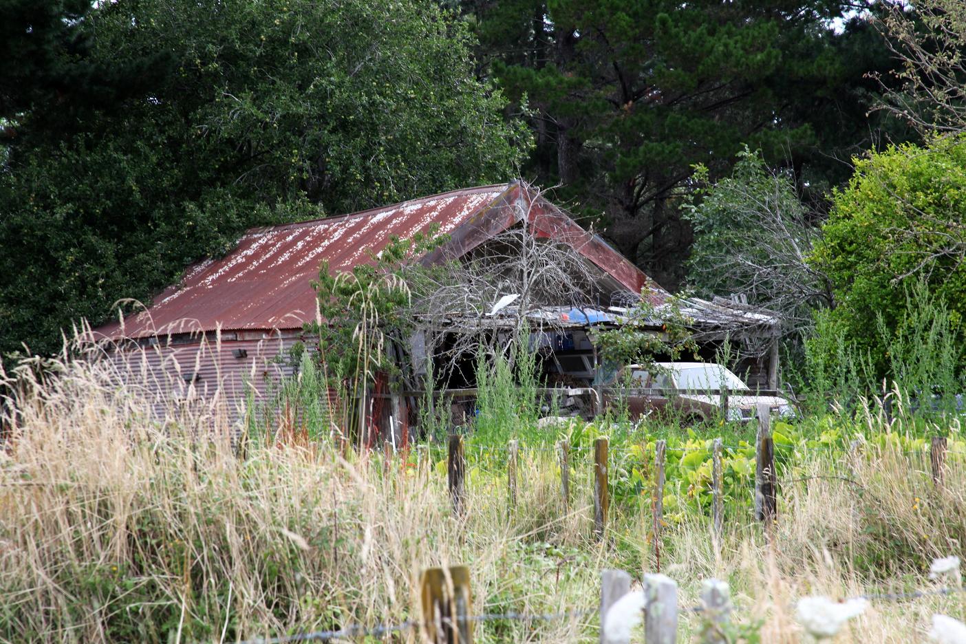 Te Kawiti 01