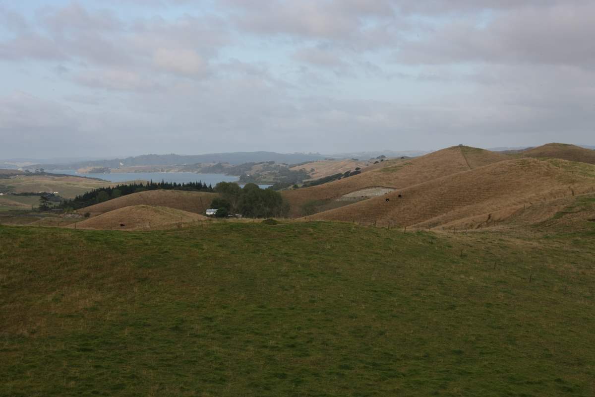 Te Pounga Marae iv