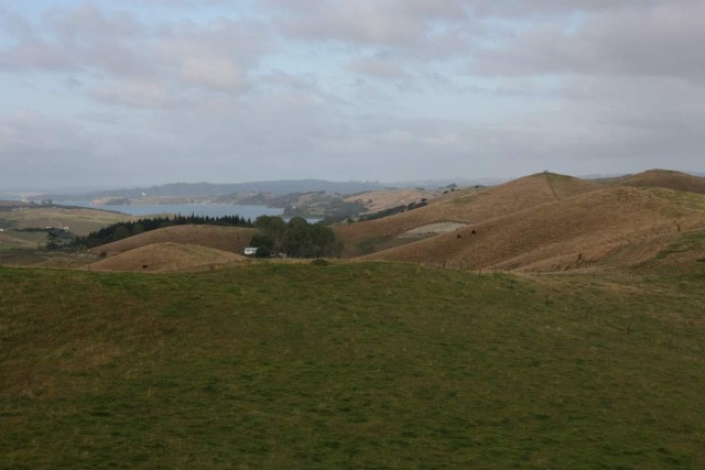 Te Pounga Marae iv