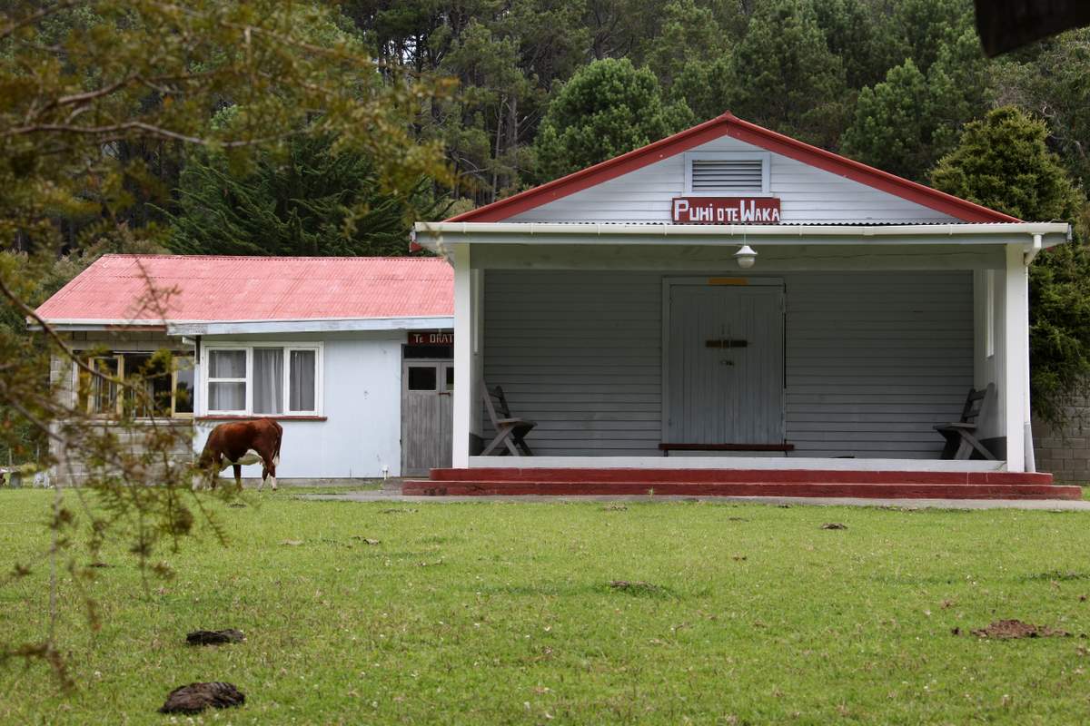 Te Tauranga Marae ii