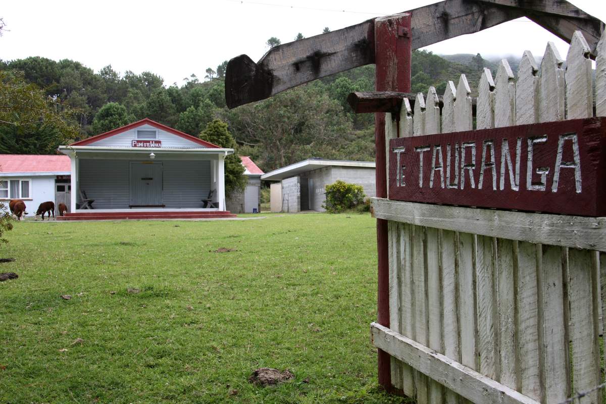 Te Tauranga Marae vii