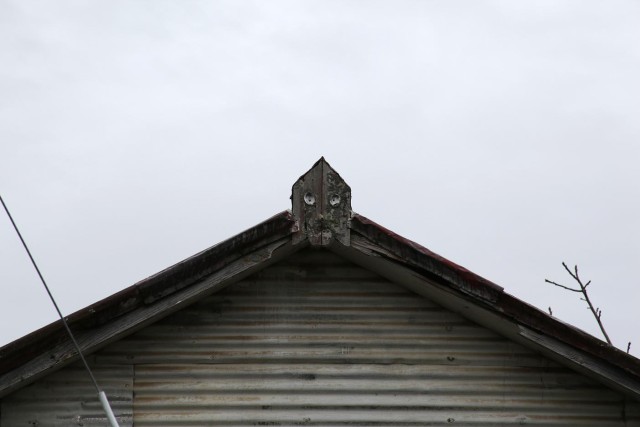 Te Whakaaro Kotahi 04