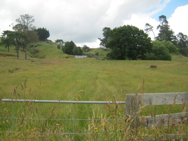 Turitea Marae from the Road