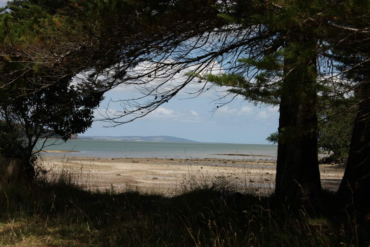 Wai Aotea Marae iii