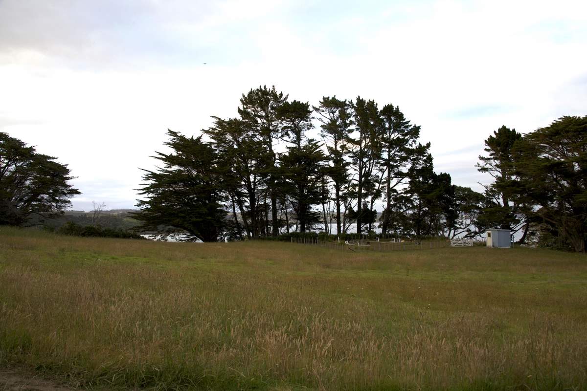 Waiaua marae ii