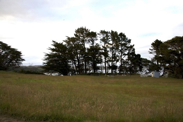 Waiaua marae ii