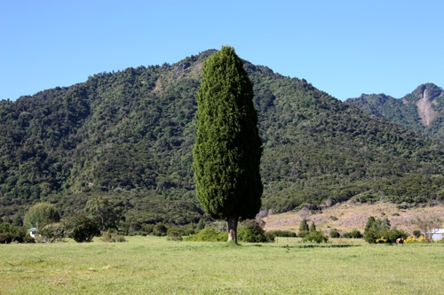 Raukura » Marae » Māori Maps