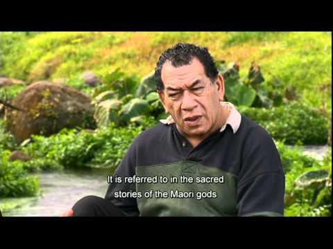 Waka Huia TVNZ  9 Oct 2011 - Te Uriroroi Hapu in Poroti Northland Part 1 of 2 